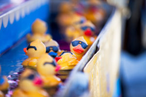 Ducks racing